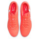 Nike Legend 10 Academy SG-Pro AC